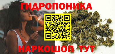 спиды Бийск
