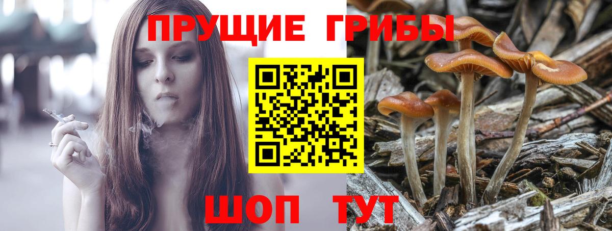 Псилоцибиновые грибы MAGIC MUSHROOMS Кольчугино