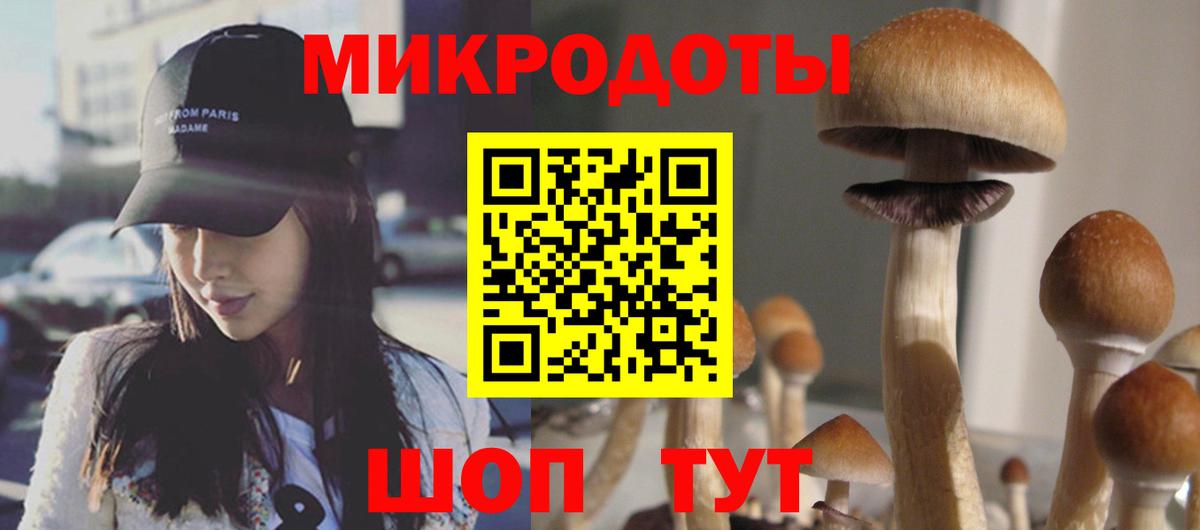 Лсд 25 Кольчугино